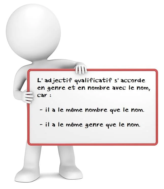 Accord de l'adjectif qualificatif cours de français