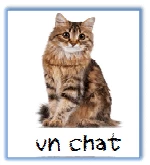 Mot avec t : chat