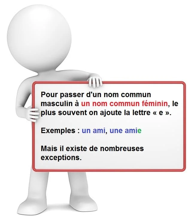 Le féminin des noms communs cours de français