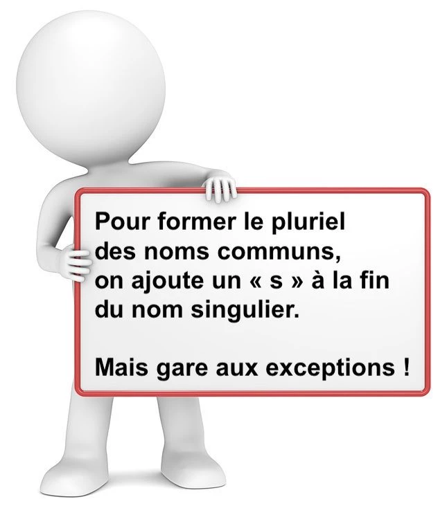 Le pluriel des noms communs cours de français