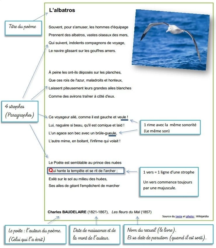 Exemple de poésie - L'Albatros de Baudelaire