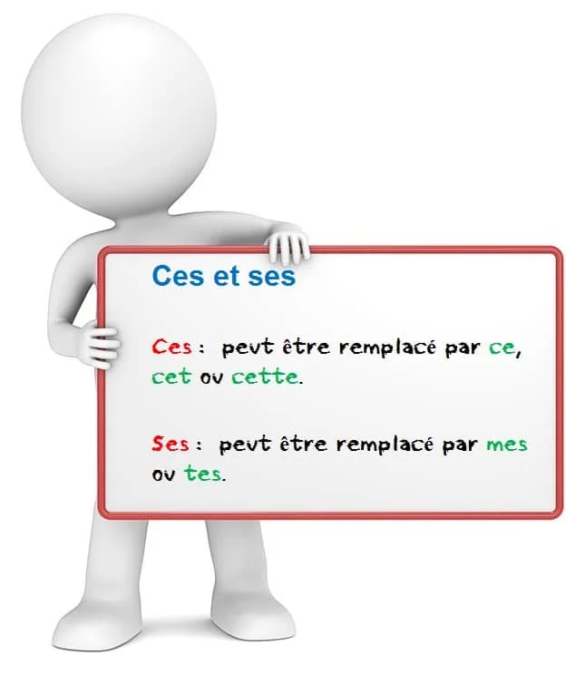 Ces ou ses ? cours de français
