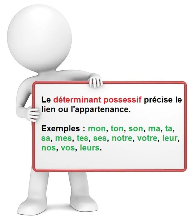 Les déterminants possessifs cours de grammaire française