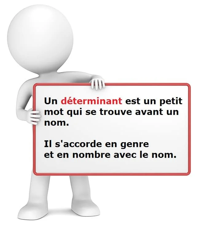 Les déterminants cours de français