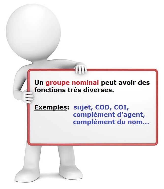 Les fonctions du groupe nominal cours de français