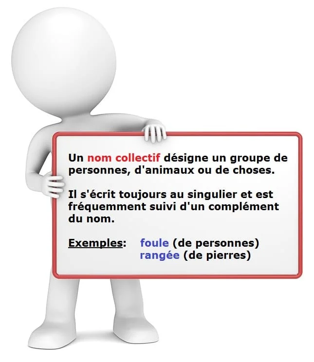 Les noms collectifs et les noms individuels cours de français