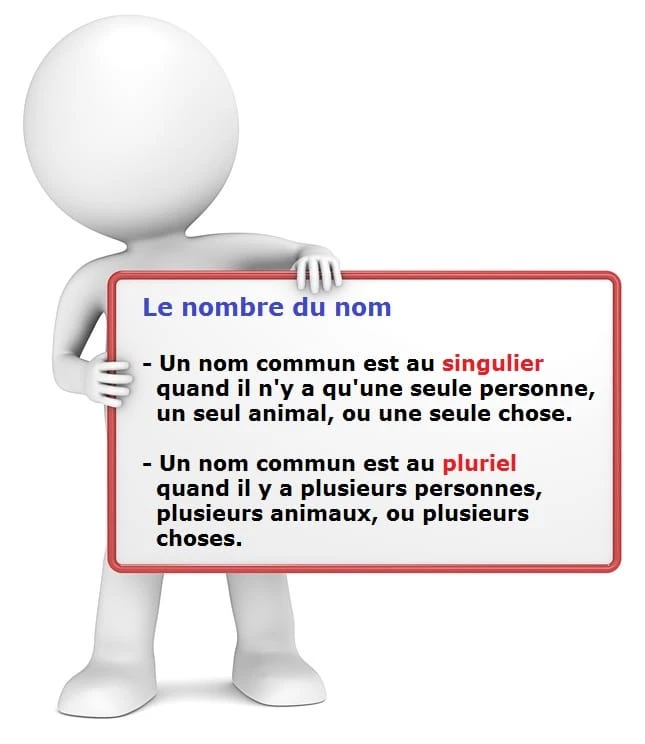 Le singulier et le pluriel des noms cours de français