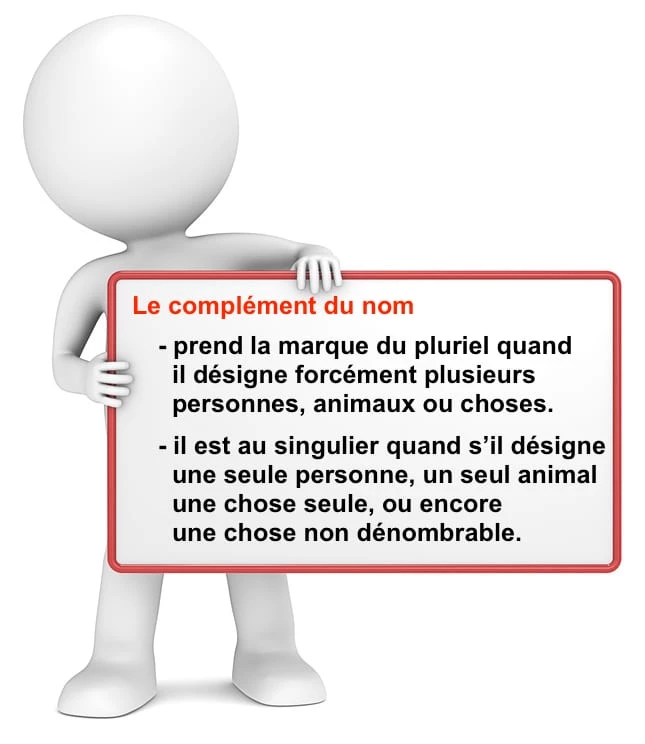 Complément du nom au singulier ou au pluriel cours de français
