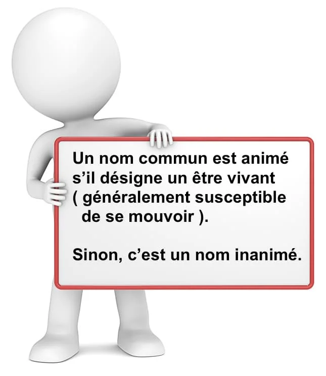 Le nom animé et le nom inanimé cours de grammaire