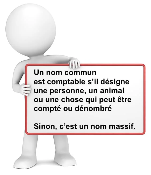 Le nom comptable et le nom massif cours de français