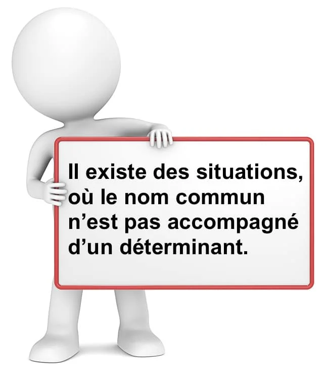 Le nom sans déterminant cours de français