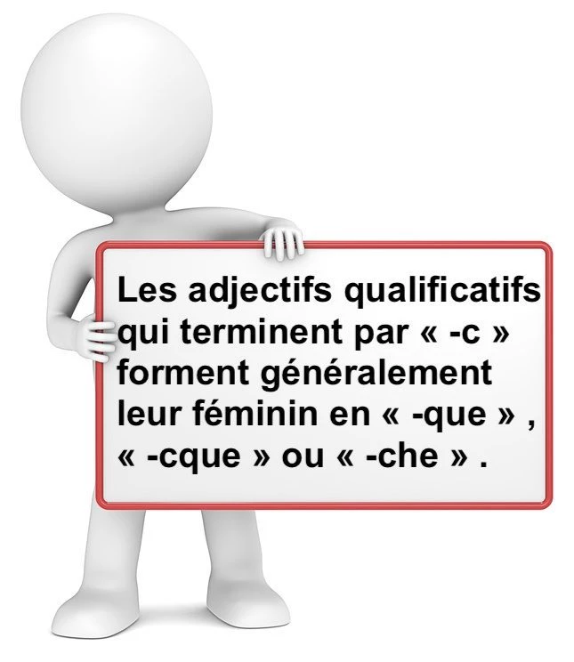 Le féminin des adjectifs finissant par -c cours de français