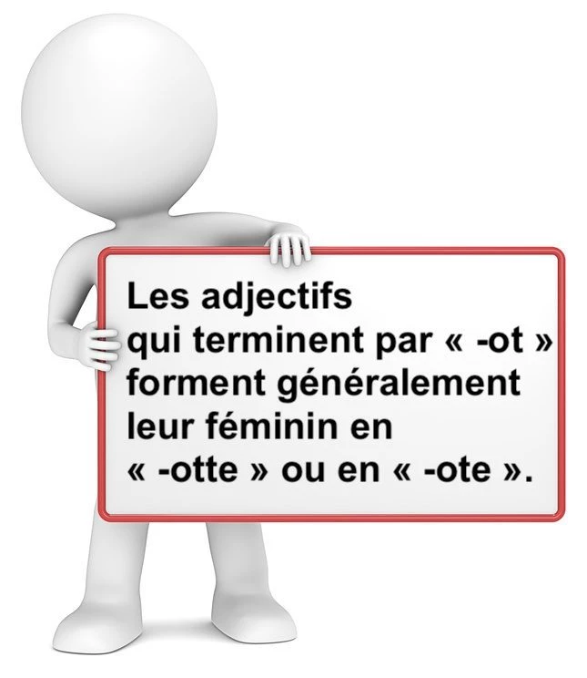 Le féminin des adjectifs en -ot cours de français