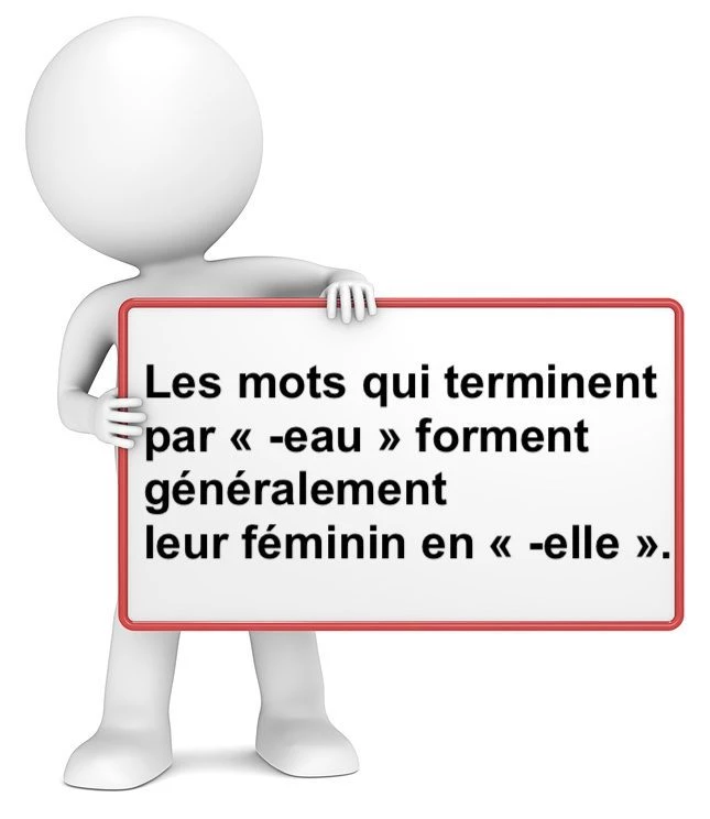 Le féminin des mots en -eau cours de français