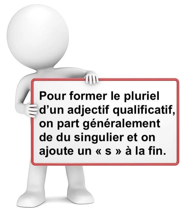 Le pluriel des adjectifs qualificatifs cours de français