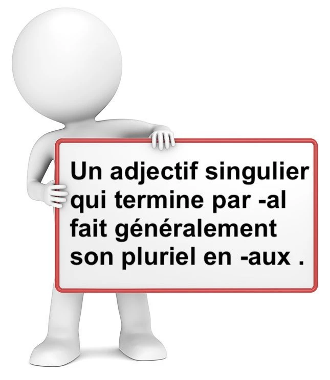 Le pluriel des adjectifs en -al cours de français
