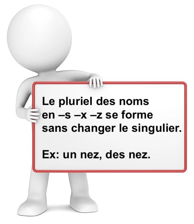 Le pluriel des noms en –s –x –z cours de français