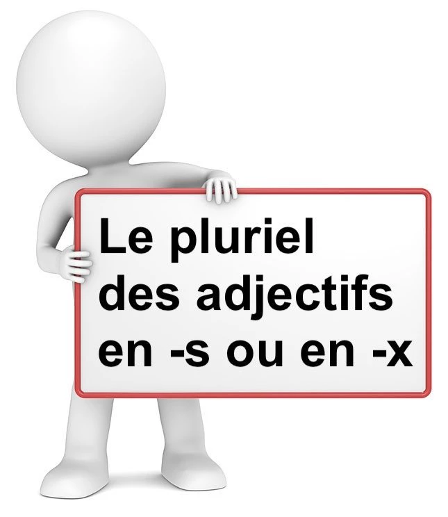 Le pluriel des adjectifs en –S ou en –X cours de français