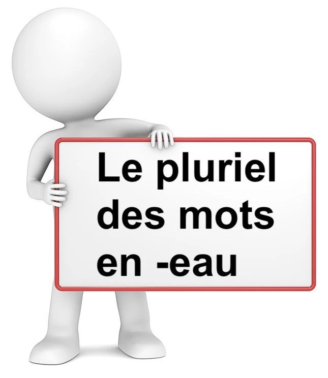 Le pluriel des mots en -eau cours de français