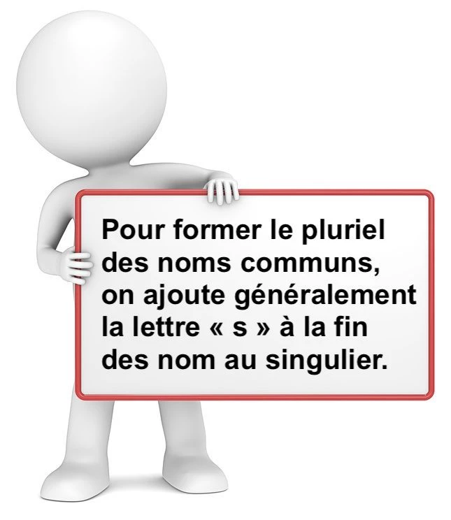 Le pluriel des noms communs cours de français