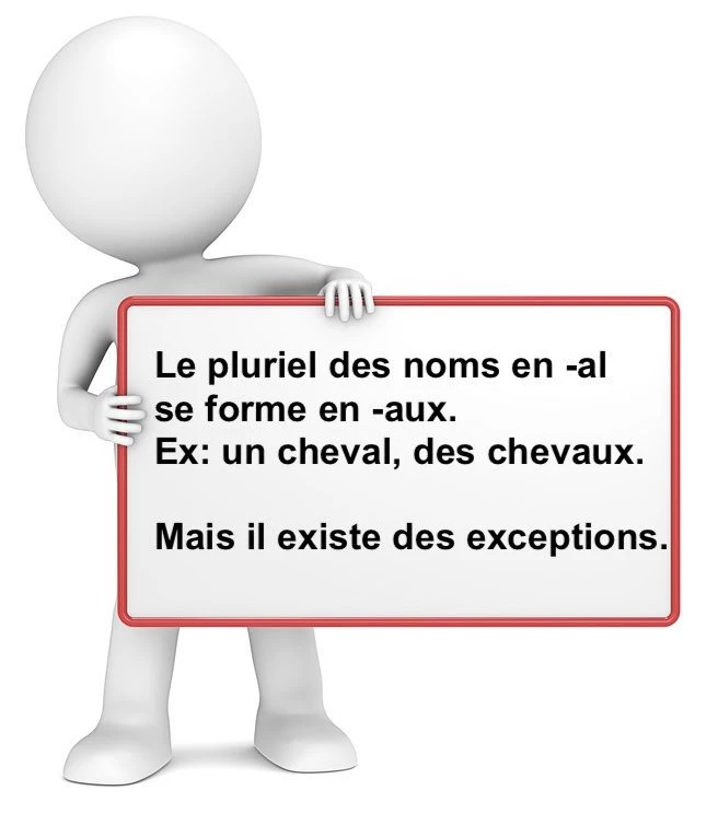 Le pluriel des noms en -al cours de français