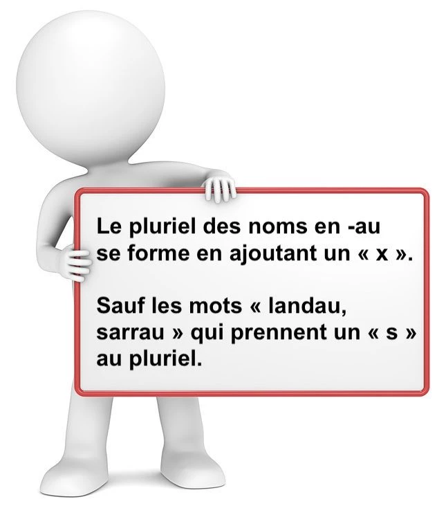 Le pluriel des noms en -au cours de français