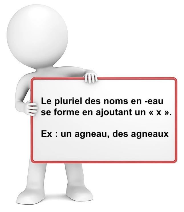 Le pluriel des noms en -eau cours de français