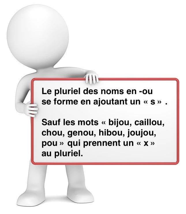 Le pluriel des noms en -ou cours de français