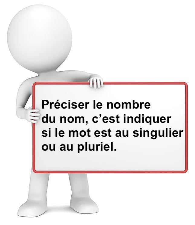 Le nombre du nom cours de français