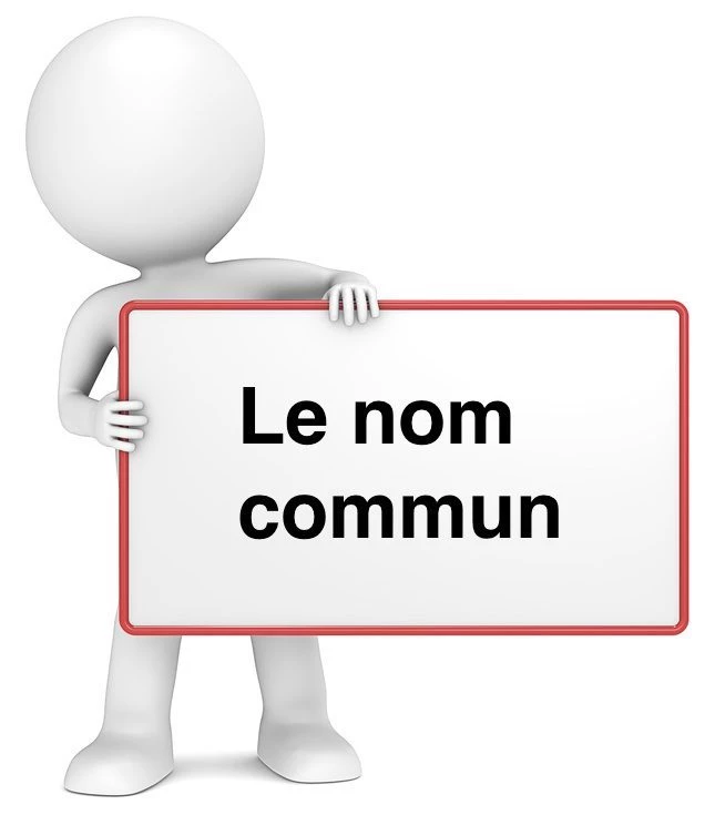 Le nom commun cours de français