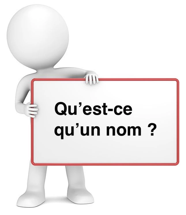 Qu'est-ce qu'un nom ? cours de français