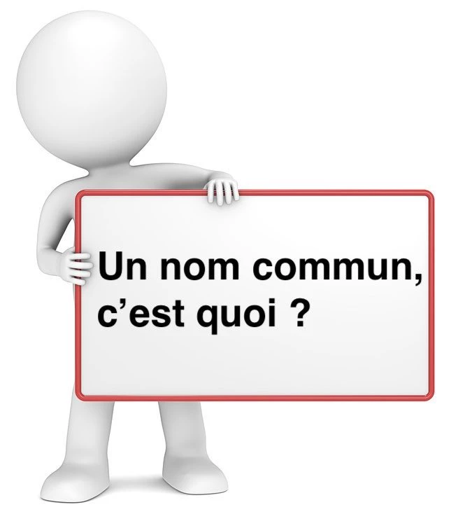 Qu'est-ce qu'un nom commun ? cours de français